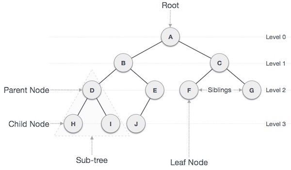Cây nhị phân (Binary Tree)